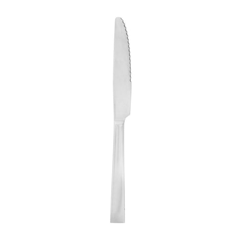 Steak knife stainless steel