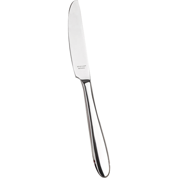 Table knife stainless steel 120g