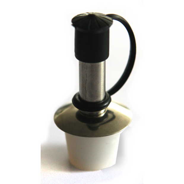Bottle pourer plug