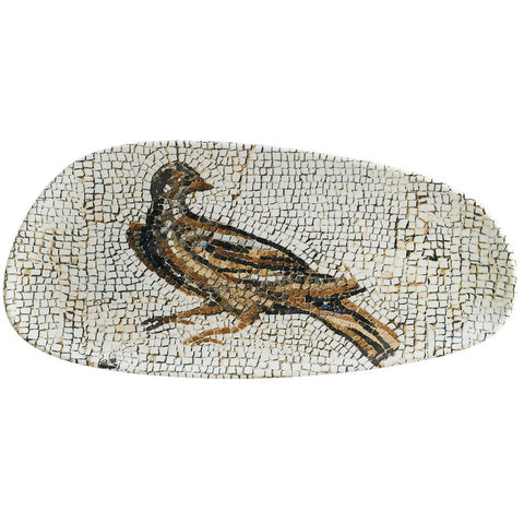 Mesopotamia Pajaro Vago Rectangular Plate 36cm