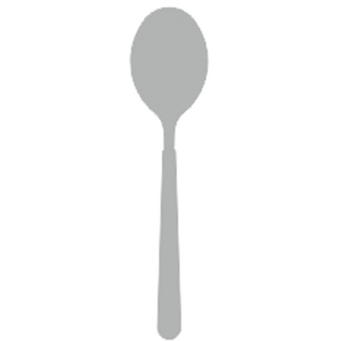 Serving spoon stainless steel 3mm